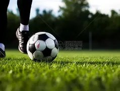 独家揭秘,巴萨冬窗稳,坐钓鱼台,宝威体育官网,宝威体育直播,体育赛事直播,足球直播